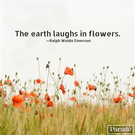 101 Nature Quotes to Appreciate the Beauty of the Outdoors - Parade