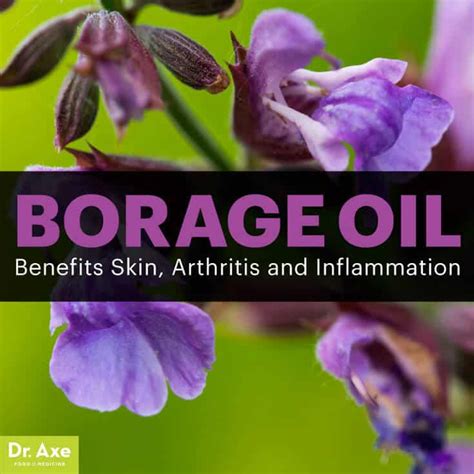 7 Borage Oil Benefits for Skin, Arthritis and Inflammation - Dr. Axe