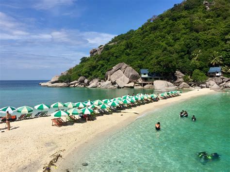 Koh Nangyuan Beach - 2023 Guide (with Photos) | Best beaches to visit in Surat Thani