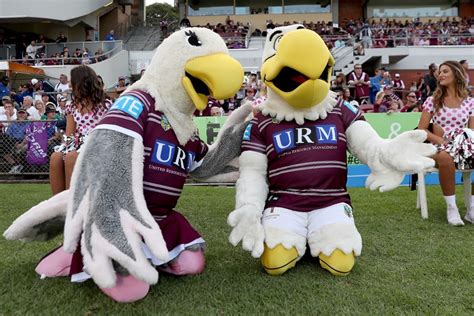 Manly Sea Eagles Mascot - forteddiandchris