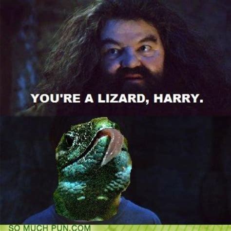 [Image - 224209] | You're a Wizard, Harry! | Know Your Meme