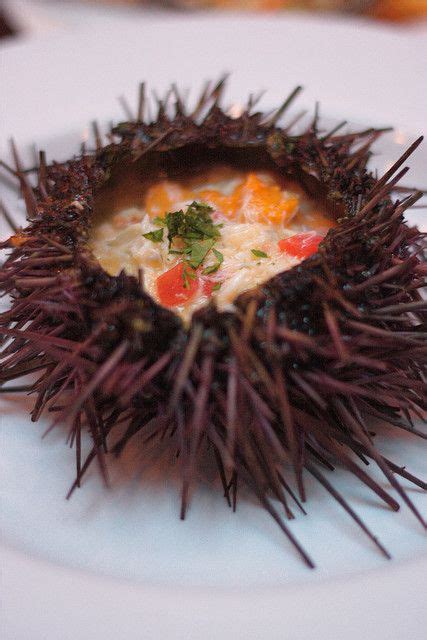 Sea Urchin Recipes Food Network