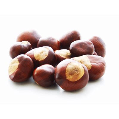 Chestnut - Recipes Wiki