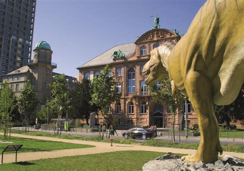 Senckenberg | Sightseeing | Frankfurt