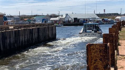 P.E.I. spring lobster season being extended until July 3 | CBC News