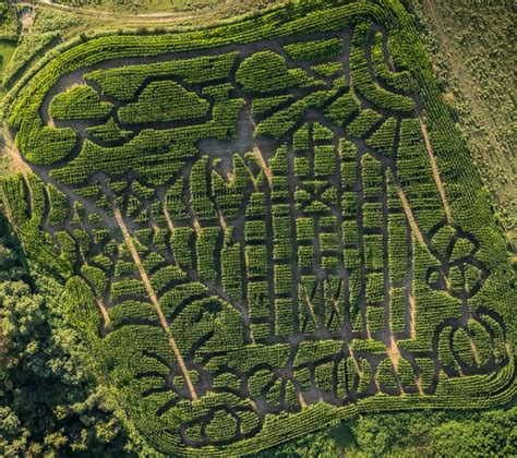 Corn Maze – Sweetapple Farm Market