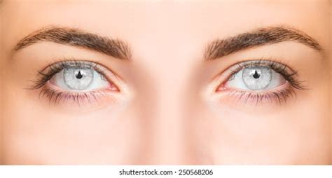 Grey Eyes Stock Photos and Pictures - 1,250,294 Images | Shutterstock