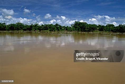 Tambopata Park Photos and Premium High Res Pictures - Getty Images