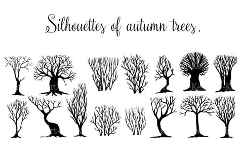 Silhouettes of autumn trees. (2688178)