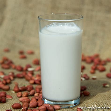 Sprouted Peanut Milk 2-Ingredients – Nest and Glow