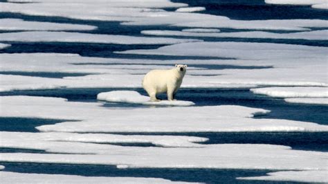 Arctic In Dire Condition As Climate Change Ravages Long-Frozen Region, Report Warns | HuffPost