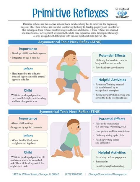 What are Primitive Reflexes in 2020 | Therapy infographic, Occupational ...