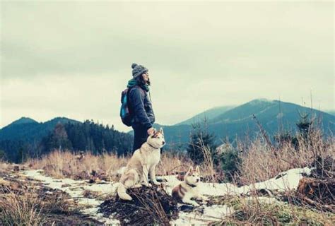 Hiking with Dogs (Bringing your best friend on the trail) - My Open Country