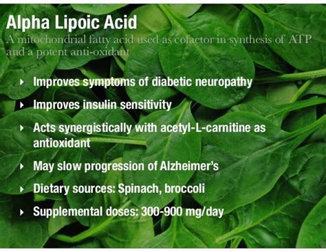 Benefits Of Alpha Lipoic Acid For Diabetics - DiabetesWalls