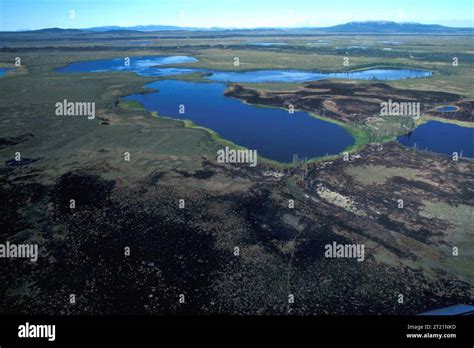 Aerial view of Selawik NWR wetlands burn area. Subjects: Scenics ...