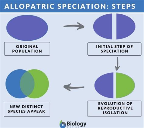 Allopatric speciation - Definition and Examples - Biology Online Dictionary