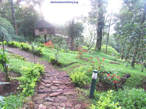 Tree House @ Munnar, Kerala: Our Experience - Destination Infinity