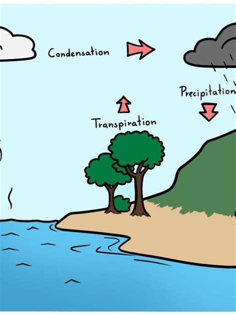 Easy Water Cycle Step-by-Step Drawing Tutorial - Easy Drawing Guides