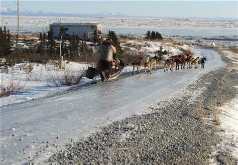 2014 Iditarod - Koyuk | Iditarod | newsminer.com