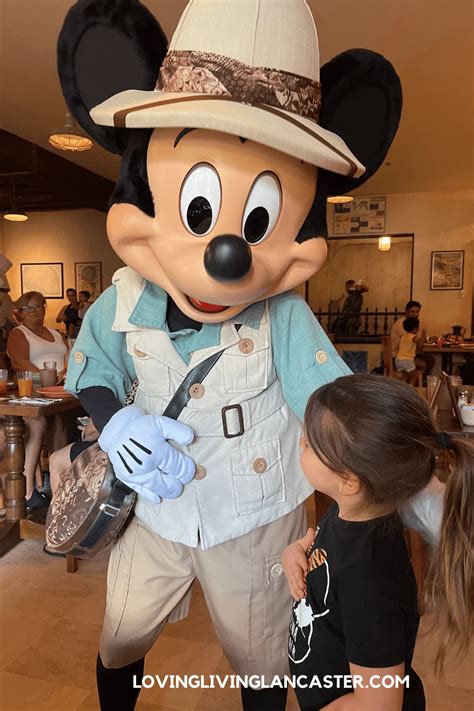 Top 5 Disney Character Dining Restaurants To Visit