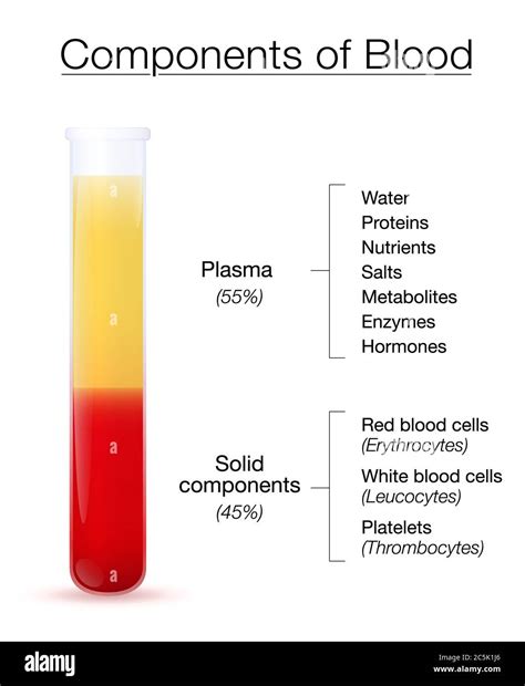 Components of blood infographic. Test tube with centrifuged plasma and ...