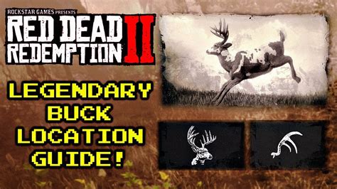 Red Dead Redemption 2 | Legendary Buck Location & Guide! - YouTube