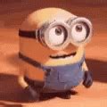 Minion Bello GIFs | Tenor