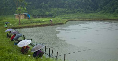 Pre-Monsoon rains to continue in Assam, Arunachal, and Meghalaya | Skymet Weather Services