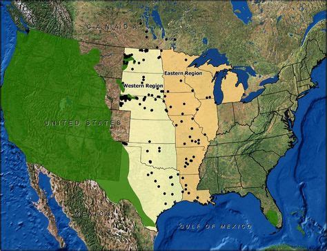 Mountain Lion Range and Sighting Map -- Note the bizarre confirmed sighting in Chicago's extreme ...