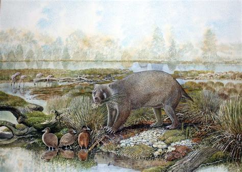 New Family of Extinct Giant Wombat-Like Marsupial Discovered