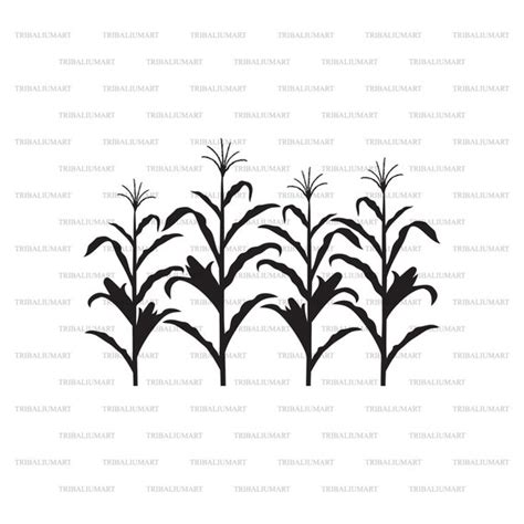 Corn Stalk. Cut Files for Cricut. Clip Art Silhouettes eps - Etsy Ireland