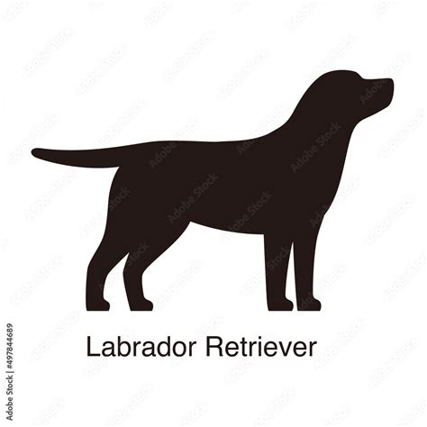 Labrador Retriever dog silhouette, side view, vector illustration Stock ...