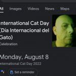 Día internacional del gato Meme Generator - Imgflip