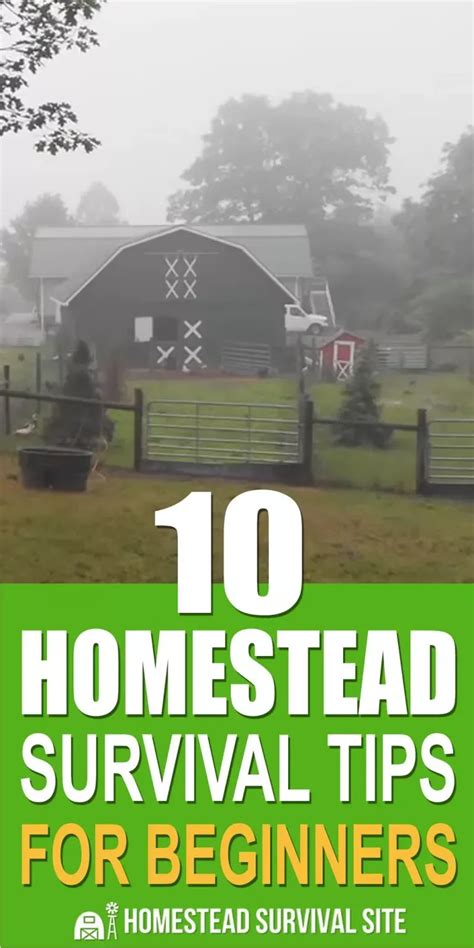 10 homestead survival tips for beginners – Artofit