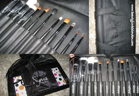 Sigma brushes: review