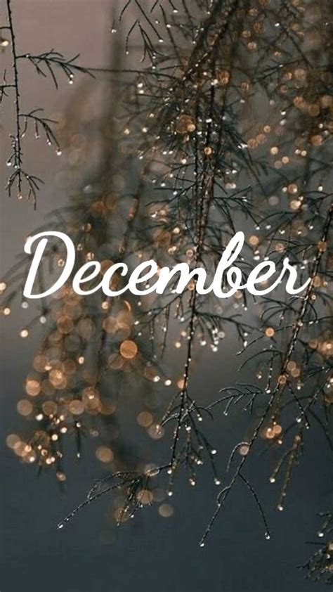 Hello December Wallpaper - iXpap