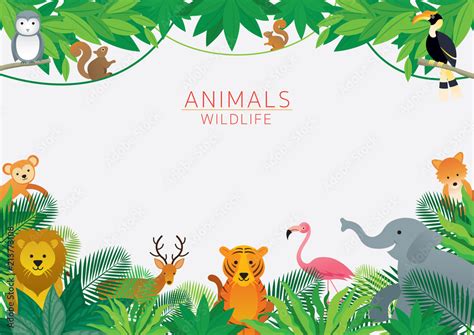 Vecteur Stock Wild Animals in Jungle, Frame, Kids and Cute Cartoon Style | Adobe Stock