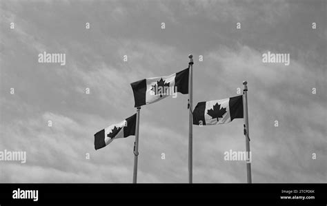 image with canadian flag of canada. canadian flag of canada. maple leaf on canadian flag Stock ...