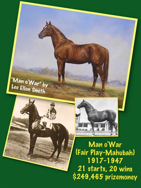 Man o'War, great American racehorse. Racehorse, Man O, Horseracing, Vintage Horse, Horse Photos ...