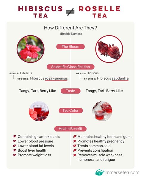 15 Hibiscus Tea Proven Benefits with Some Side Effects - TeaFame