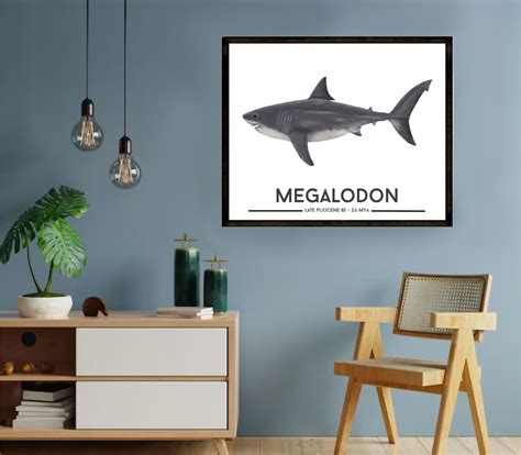 Megalodon Shark Poster – Little Grippers Store NZ