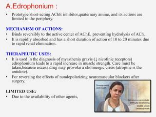 Unit 3 Drugs Affecting PNS (As per PCI syllabus) | PPT