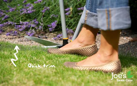 9 Easy Ways To Cut Your Grass Properly - Joe's Lawn Care