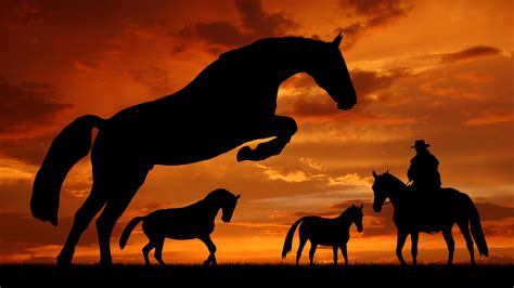 🔥 [90+] Horses at Sunset Wallpapers | WallpaperSafari