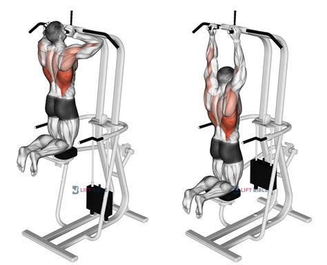 Assisted Parallel Close Grip Pull Ups - Home Gym Review