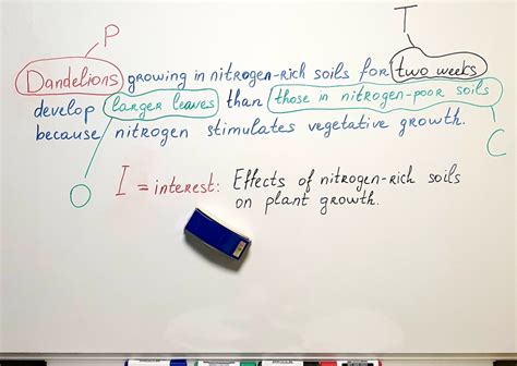 Formulating Hypothesis Examples | Hot Sex Picture