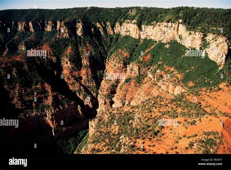 Kaibab Plateau, Colorado Plateau, Arizona, United States Stock Photo - Alamy