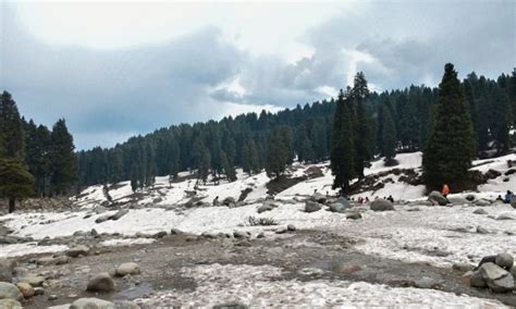 DOODHPATHRI, Trip to the Valley of Milk in Kashmir - Tale of 2 Backpackers