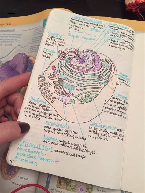 Study! - #medicalstudents | Biology notes, Study biology, Science notes