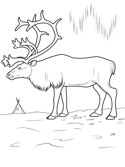 Arctic Animals Coloring Pages For Preschoolers at GetDrawings | Free ...